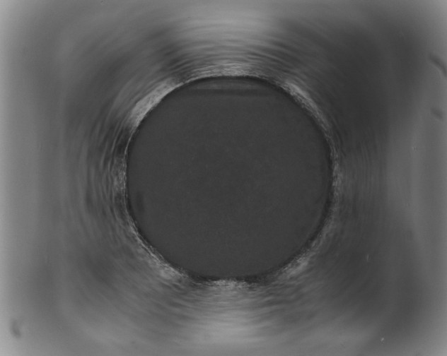 X0000101481081200807211354