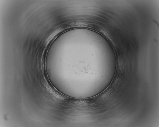 X0000101481082200807211354