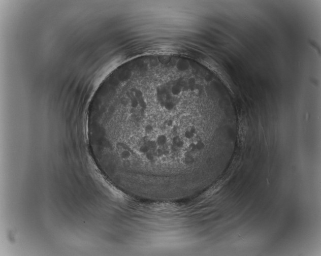 X0000101481083200807211354