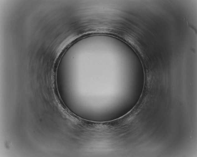 X0000101481085200807211354