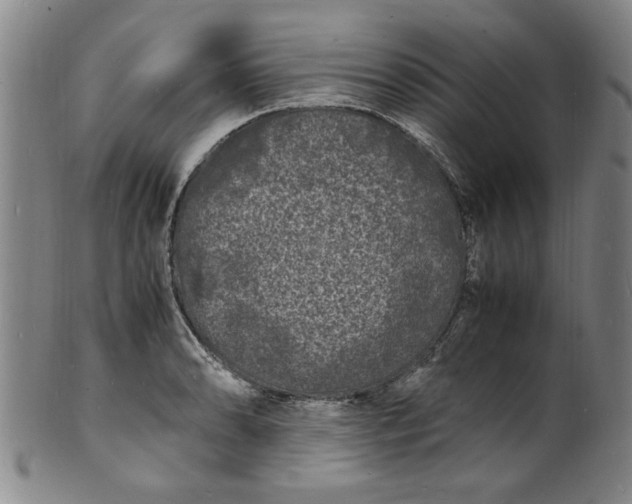 X0000101481086200807211354