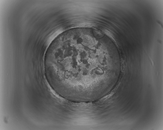 X0000101481087200807211354