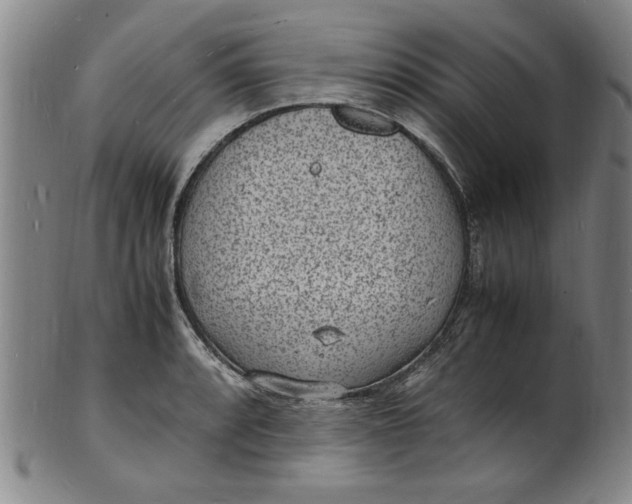 X0000101481088200807211354