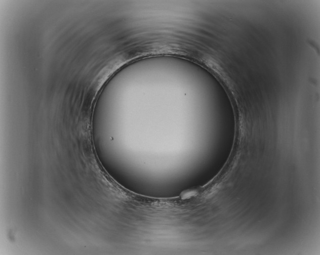 X0000101481089200807211354