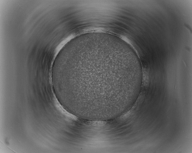 X0000101481090200807211354