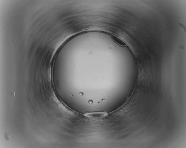 X0000101481092200807211354