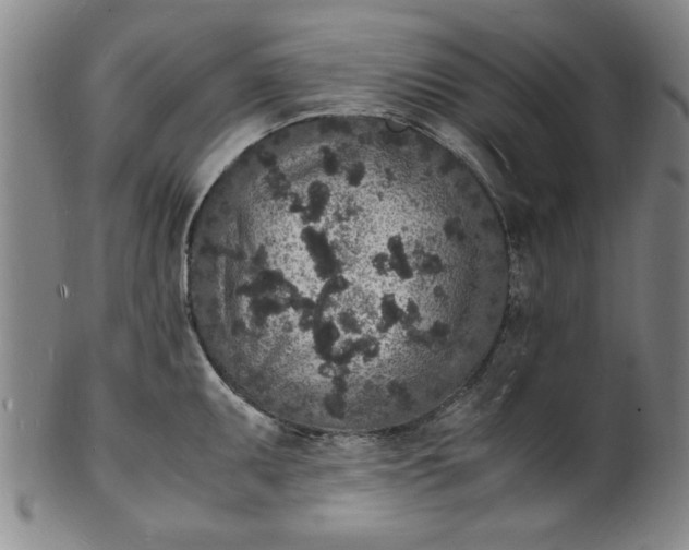 X0000101481095200807211353