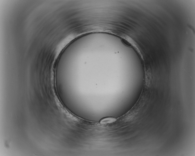 X0000101481096200807211353