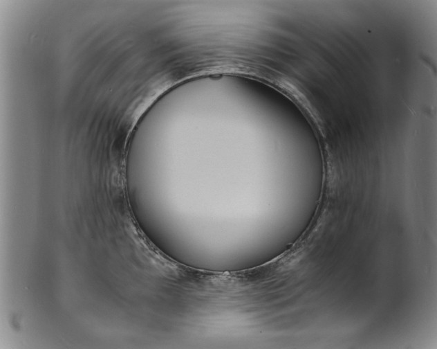 X0000101481097200807211353