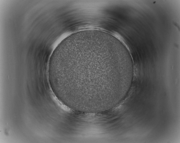 X0000101481098200807211353