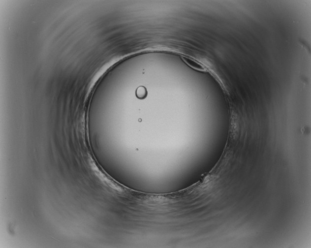 X0000101481100200807211353