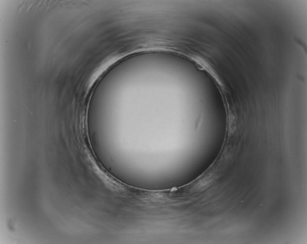 X0000101481101200807211353