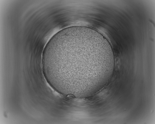 X0000101481103200807211353