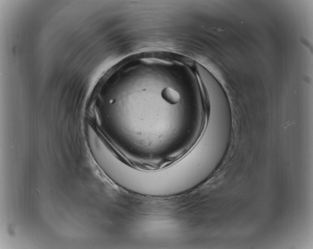 X0000101481104200807211353