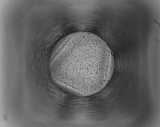 X0000101481105200807211352