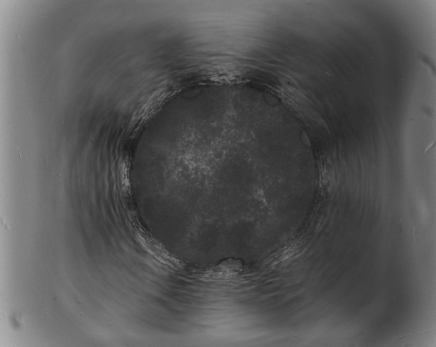 X0000101481106200807211352