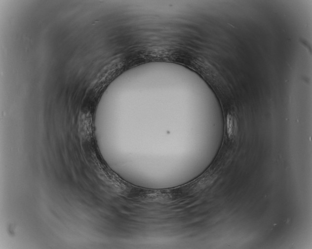 X0000101481107200807211352