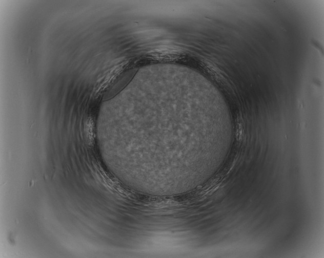 X0000101481108200807211352