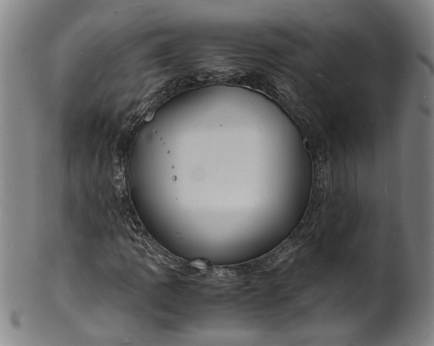 X0000101481109200807211353