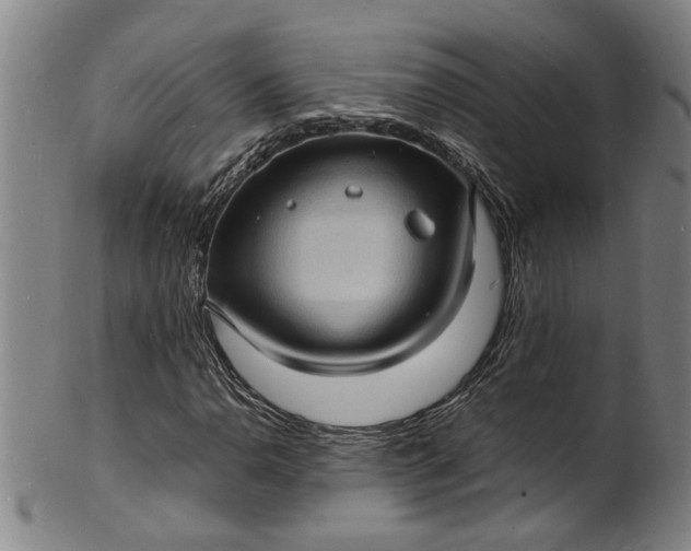 X0000101481110200807211353