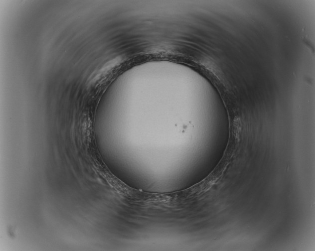 X0000101481111200807211353