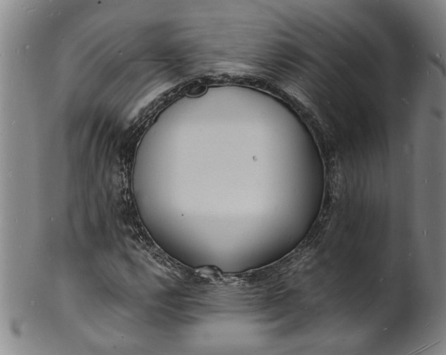 X0000101481112200807211353