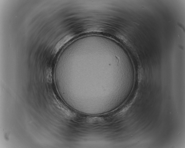 X0000101481113200807211353