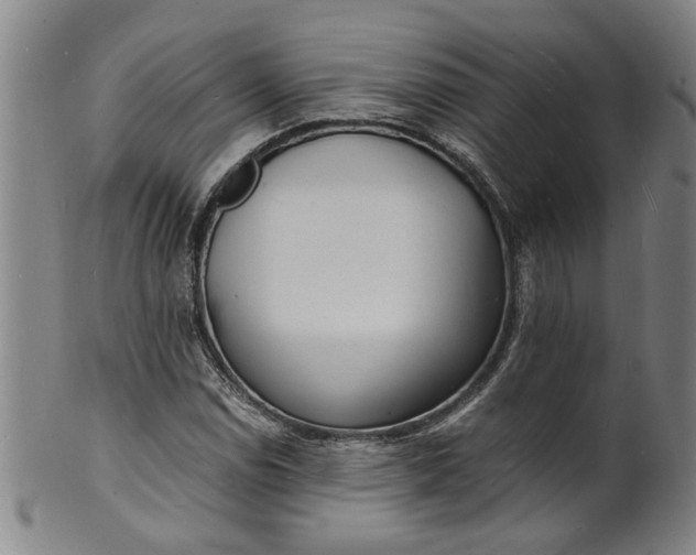 X0000101481114200807211353