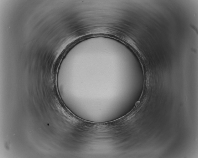 X0000101481116200807211353