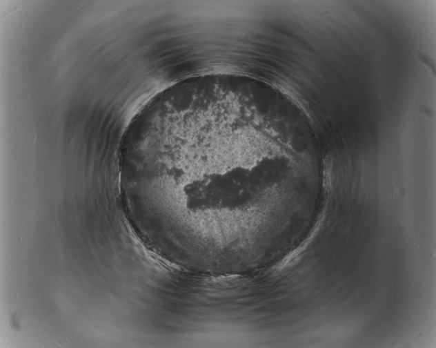 X0000101481117200807211353