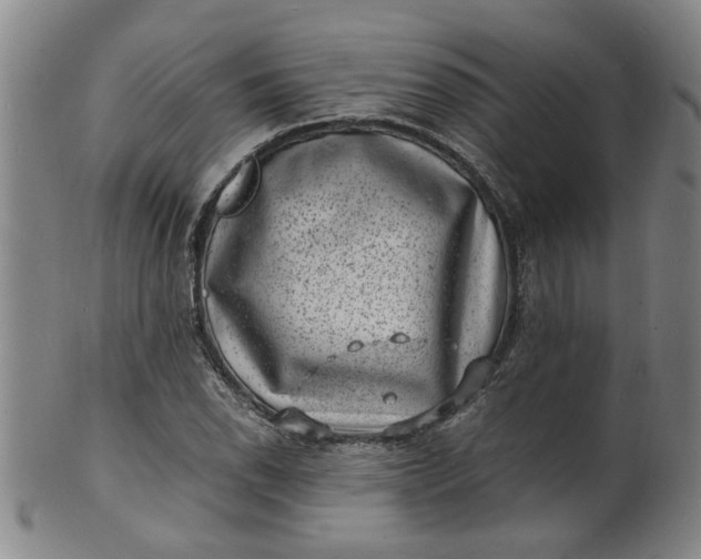 X0000101481118200807211353