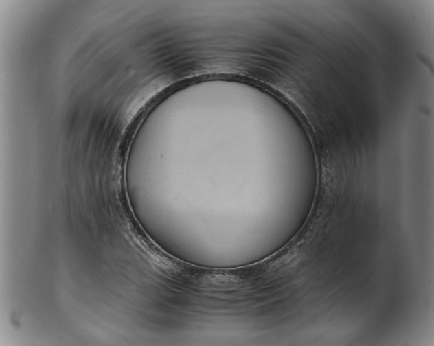 X0000101481119200807211353