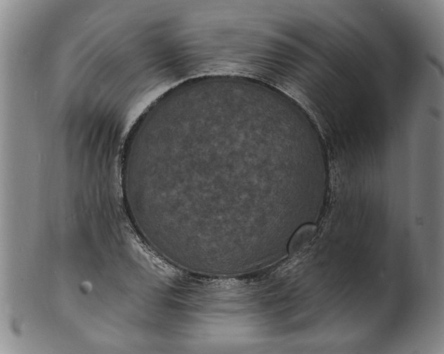 X0000101481120200807211353