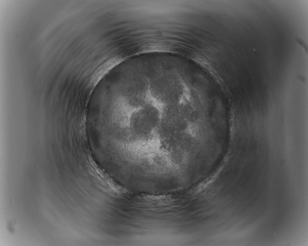 X0000101481121200807211353