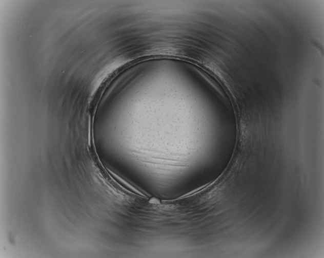 X0000101481123200807211353