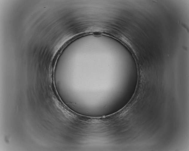 X0000101481124200807211353