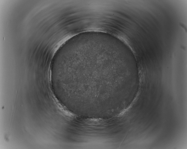 X0000101481125200807211353