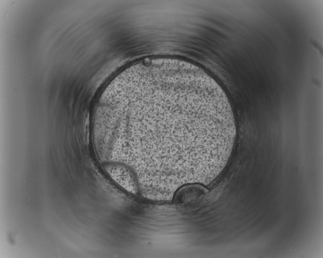 X0000101481126200807211353