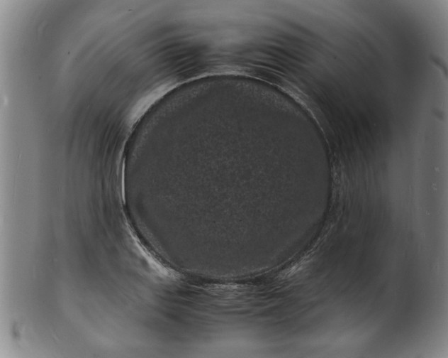 X0000101481127200807211353