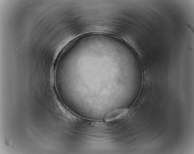 X0000101481128200807211353