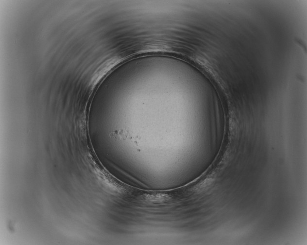 X0000101481129200807211353