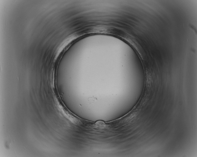 X0000101481131200807211353