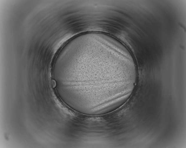 X0000101481133200807211353