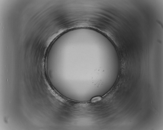 X0000101481134200807211353