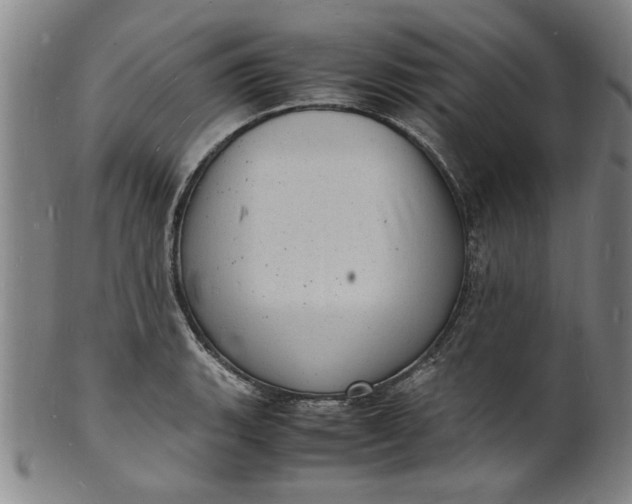 X0000101481135200807211353