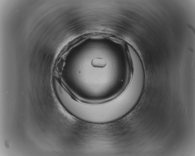 X0000101481136200807211353