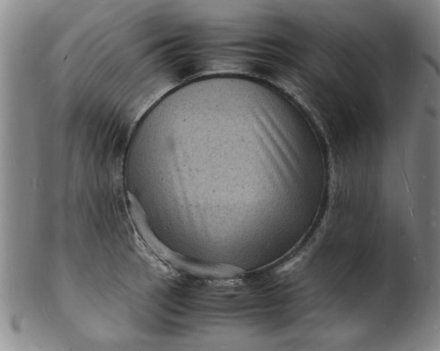 X0000101481137200807211353