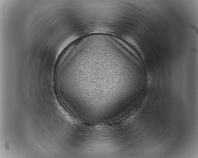 X0000101481138200807211353