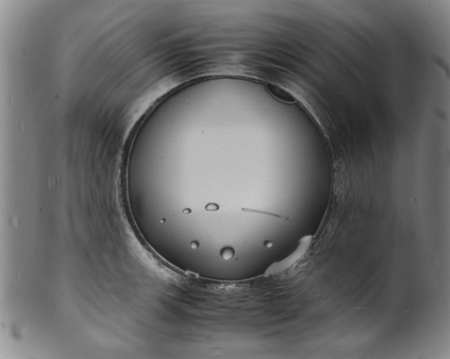 X0000101481139200807211353