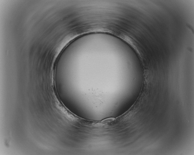 X0000101481140200807211353